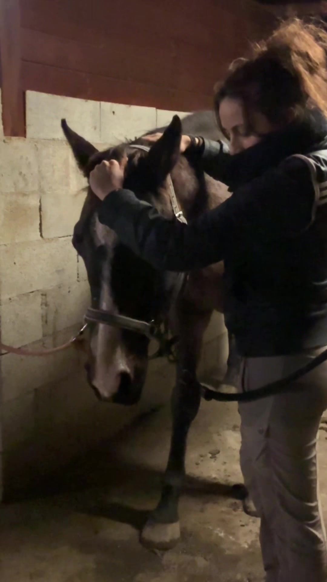 @Hannah&ensp;ost&eacute;opathie&ensp;animale&ensp;🐎