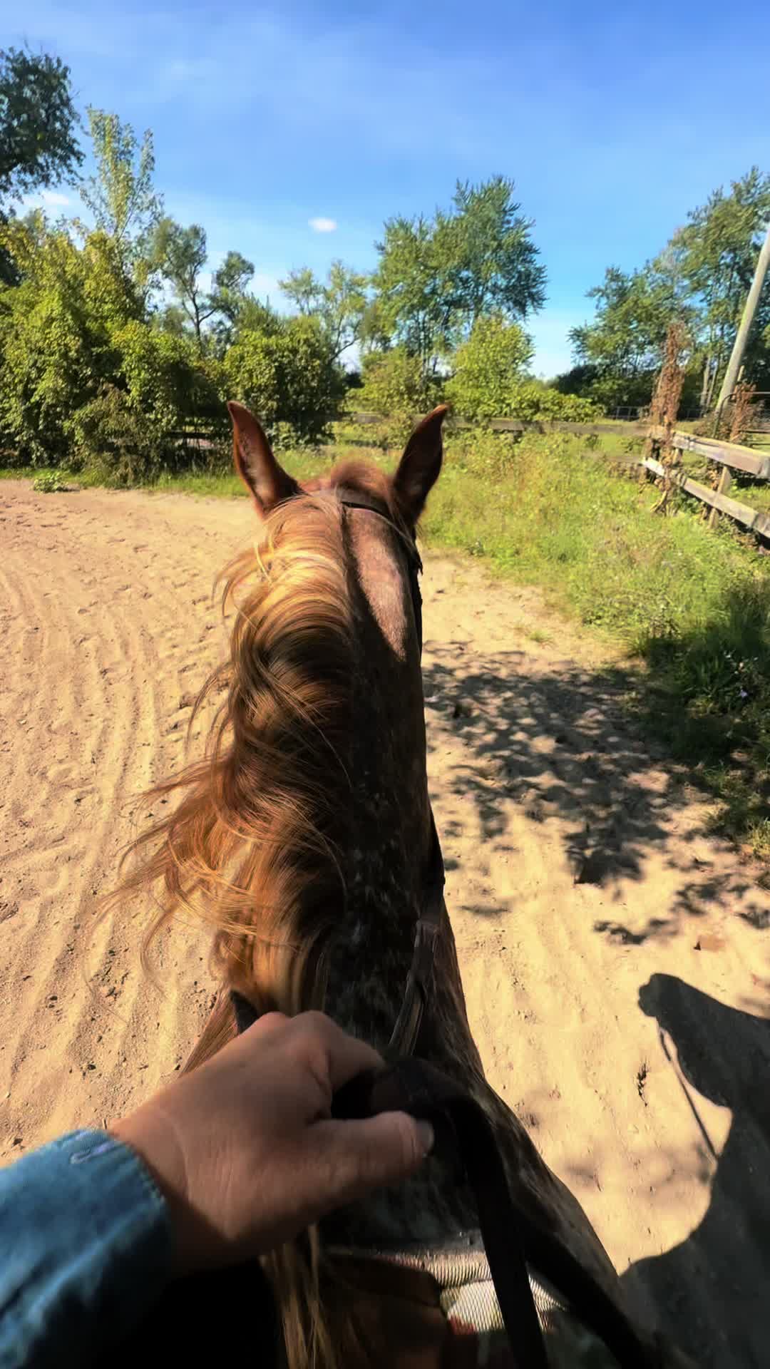 @Free Spirit Equestrian
