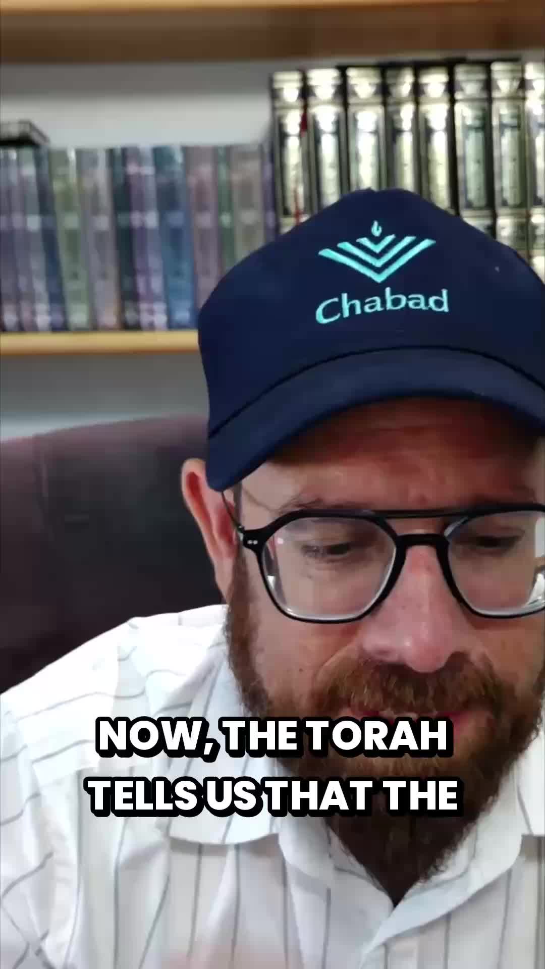 @Humans 4 Noah