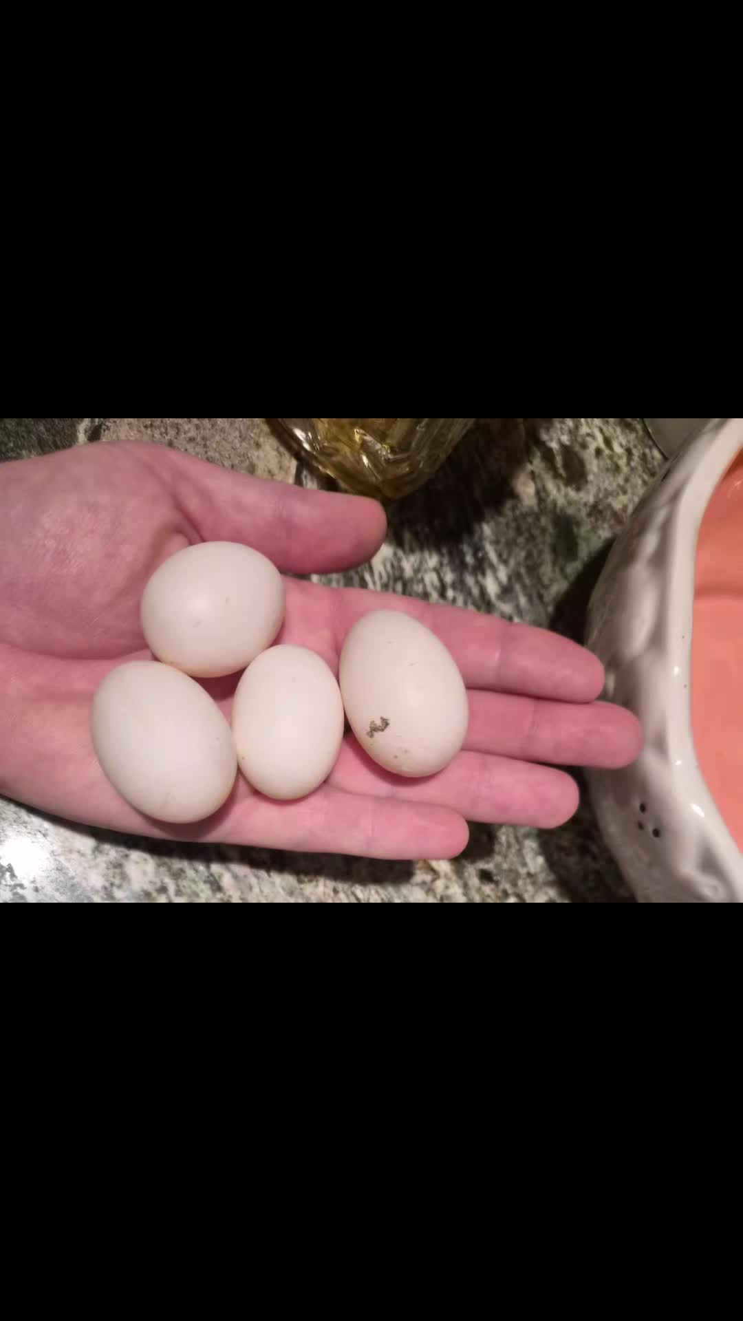 @pussnboots4555