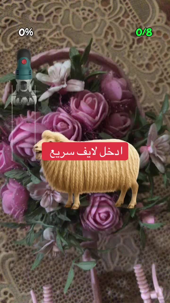 @noeral88