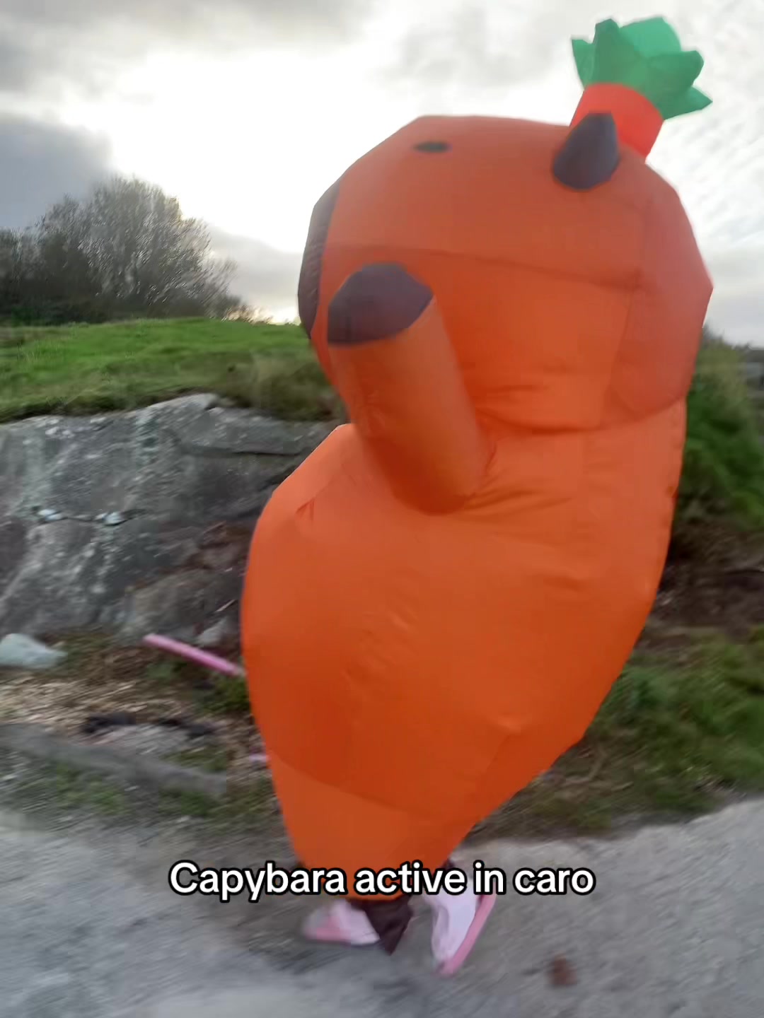 @🥳