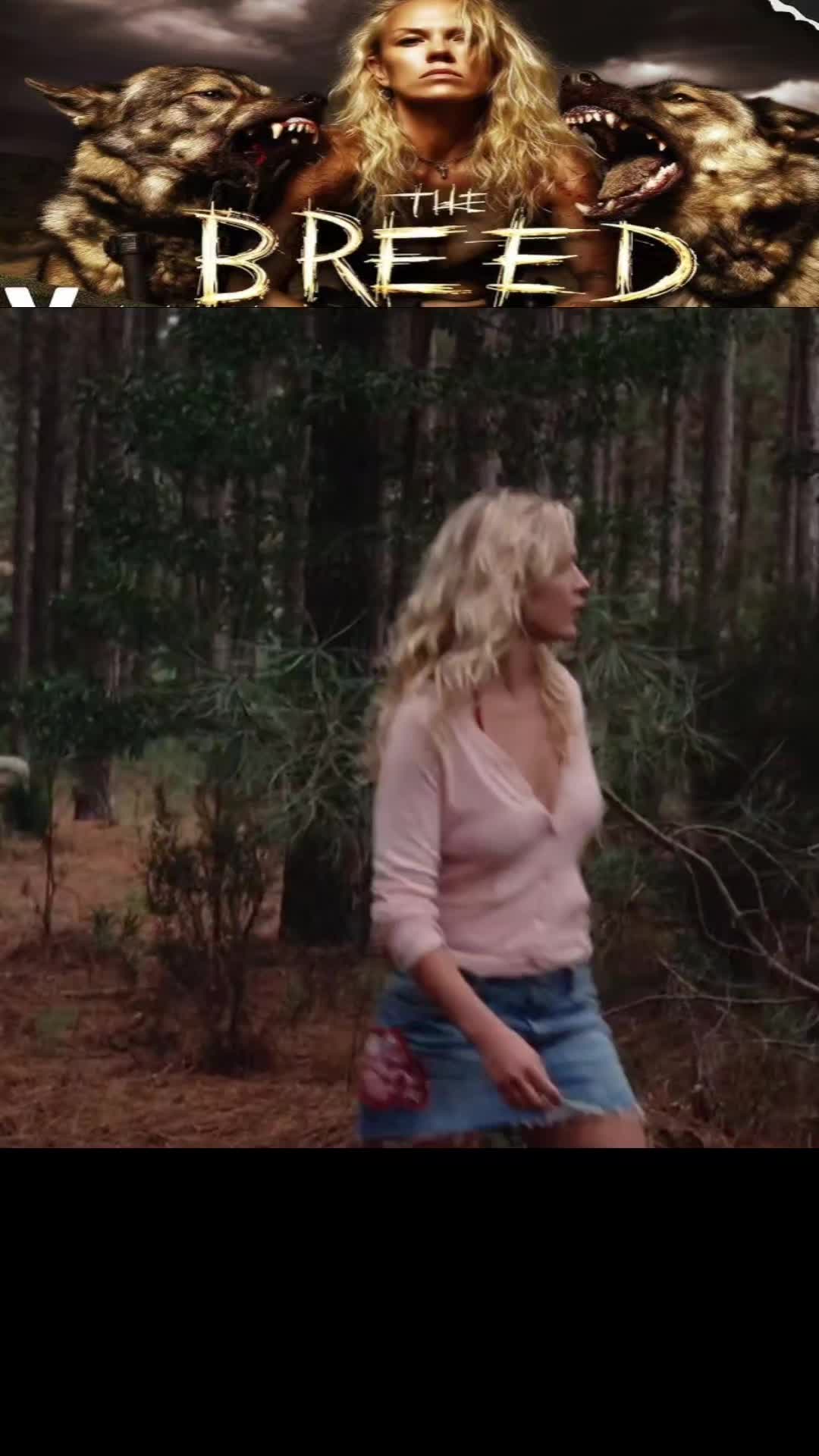 @Wellington_Capellan