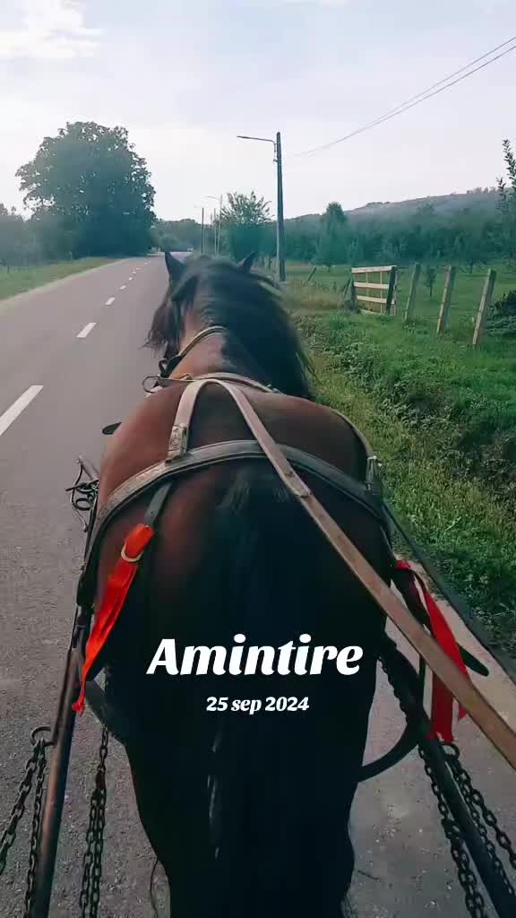 @Kentosanu