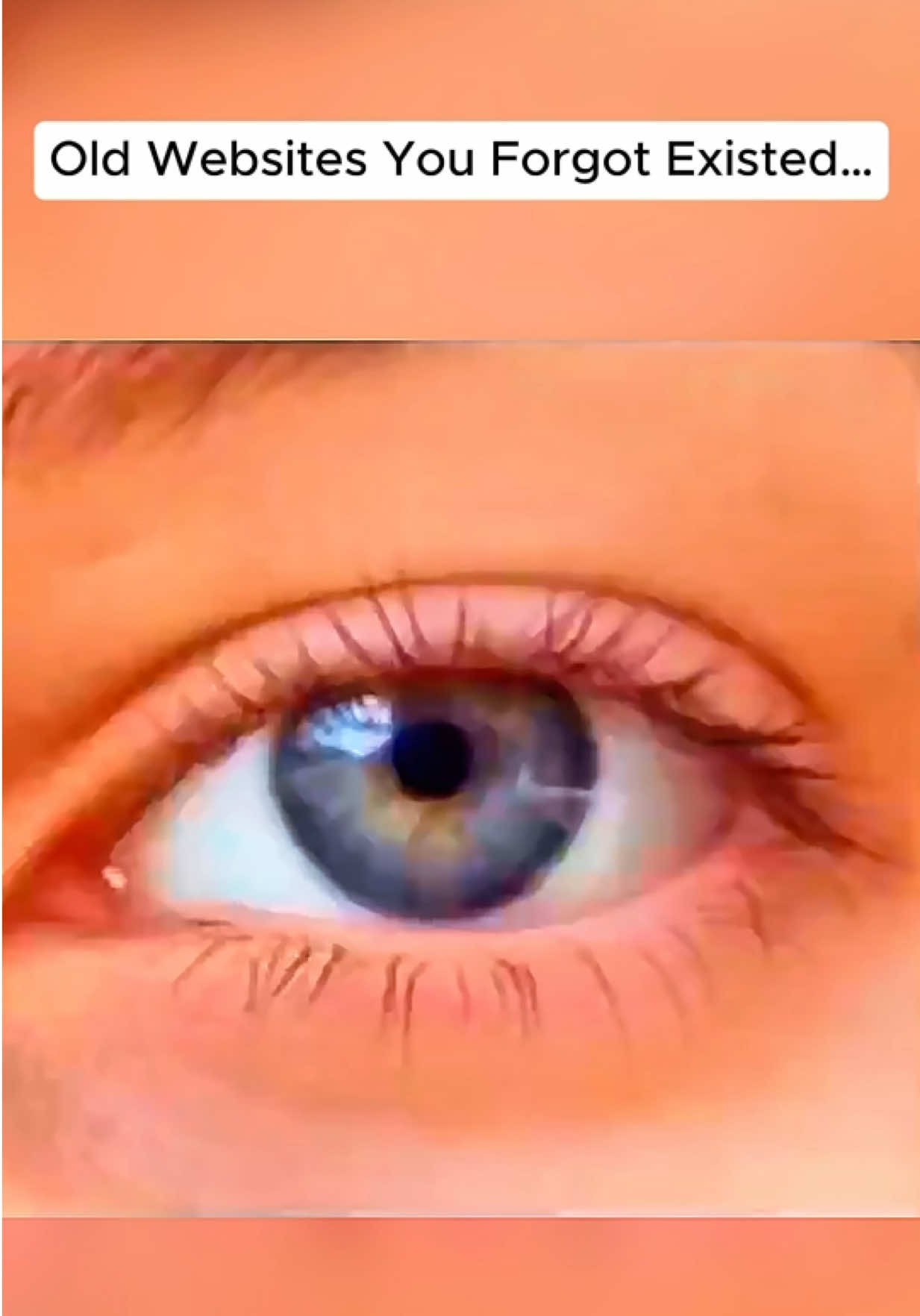 @NicheNovaNostalgia