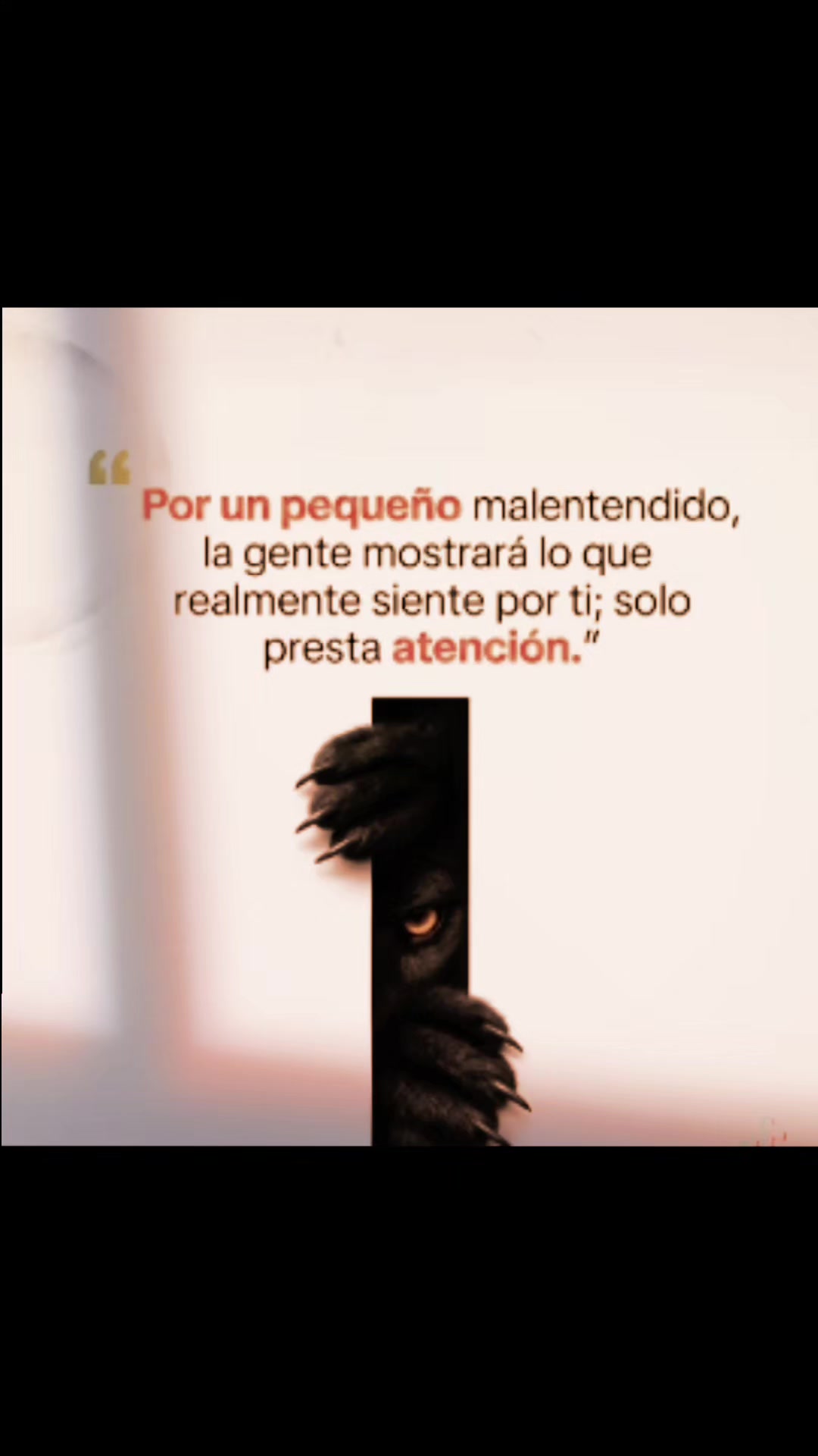 @Alejandro Silva