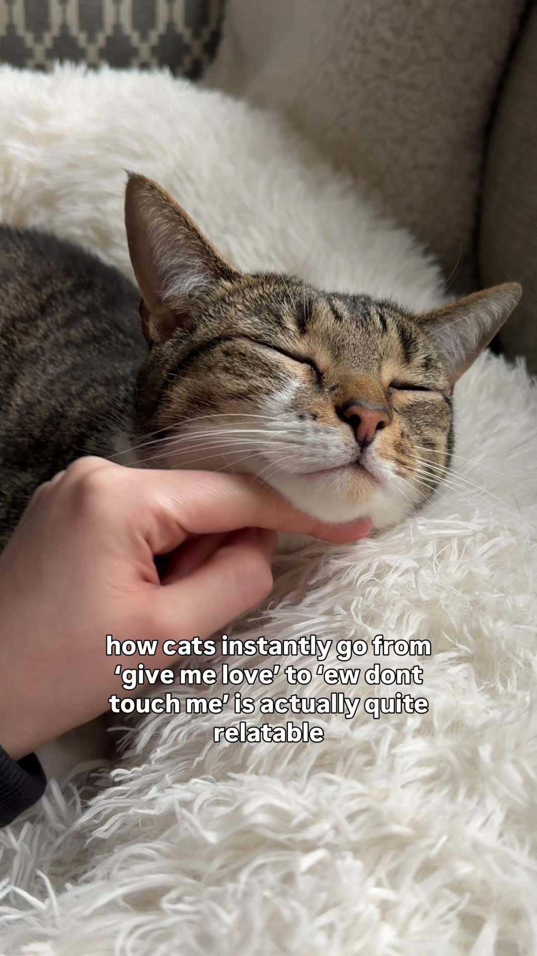 @lola_and_popps