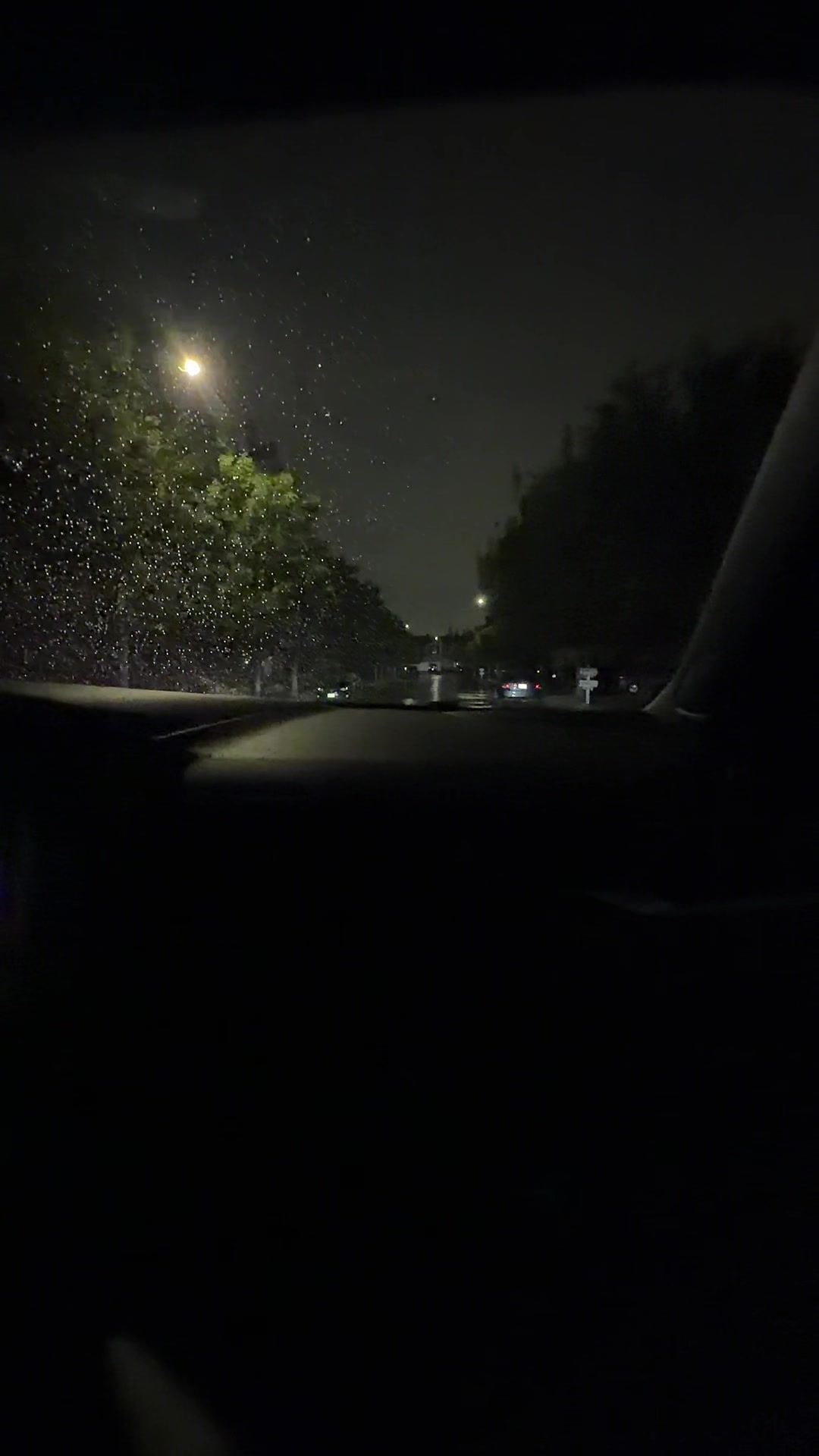 @🌊Cleo:::(❀)::::🦈