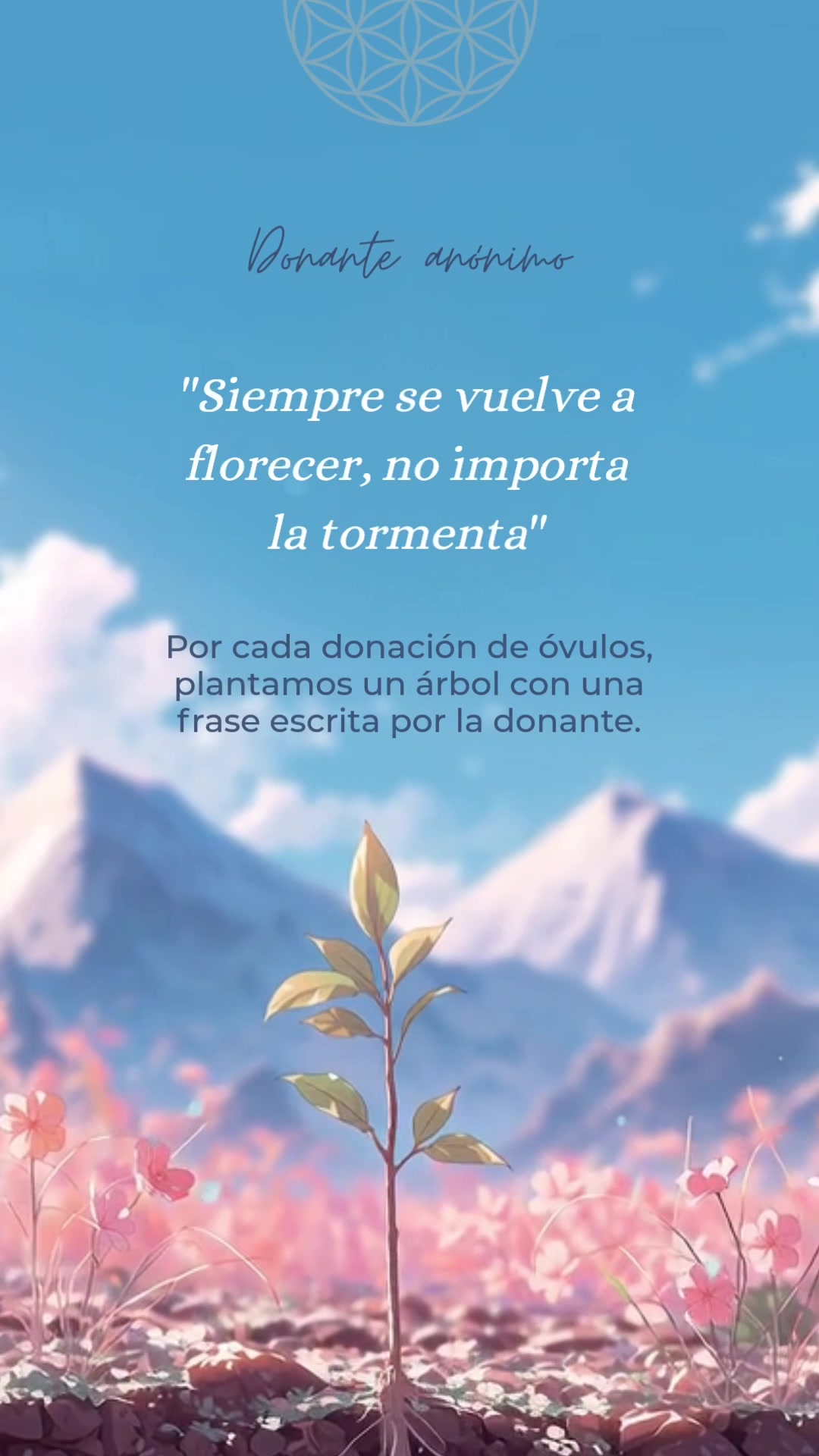 @Yo Soy Flora