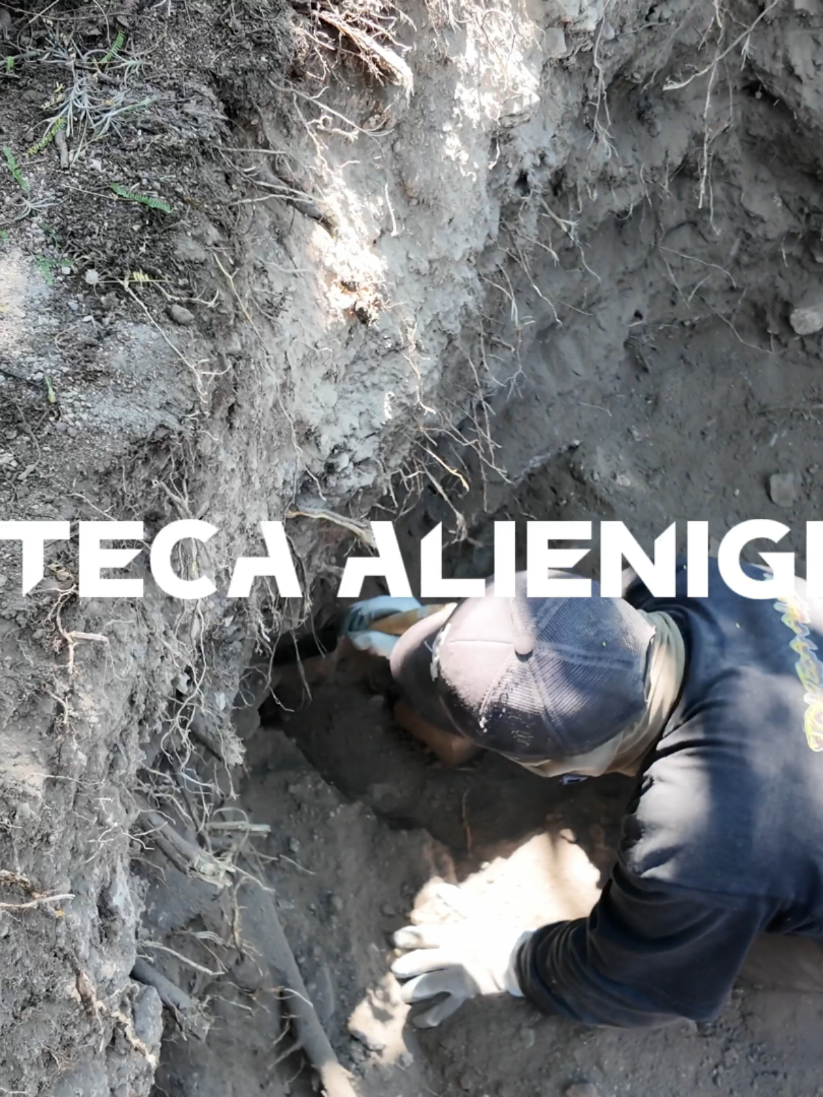 @tolteca Alien