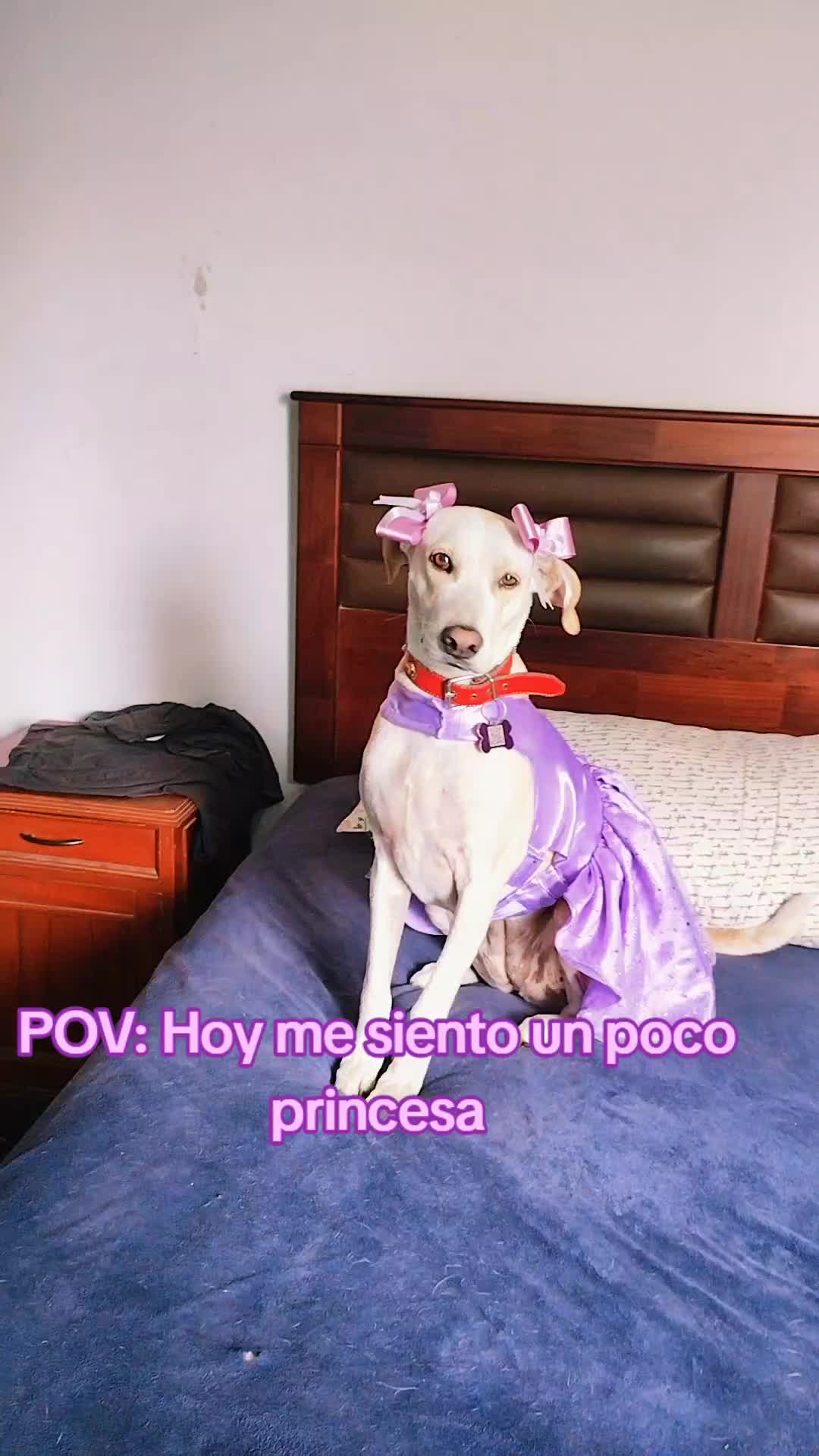 @winnie ❤🦮