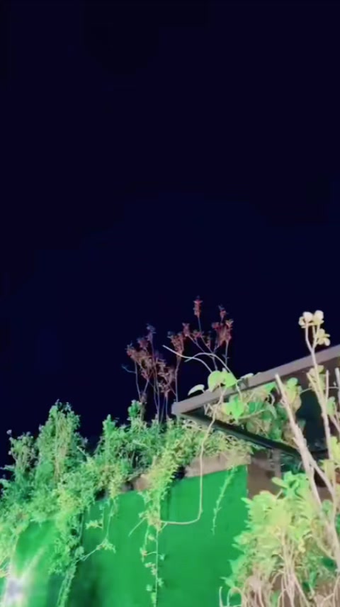 @مخدوم عدیل ظفر