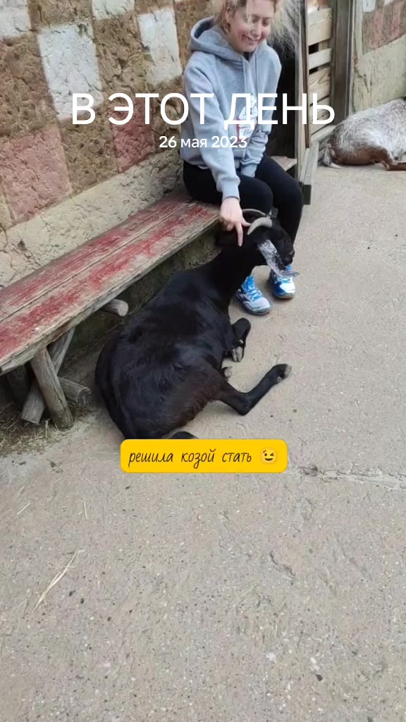 @Ризориус