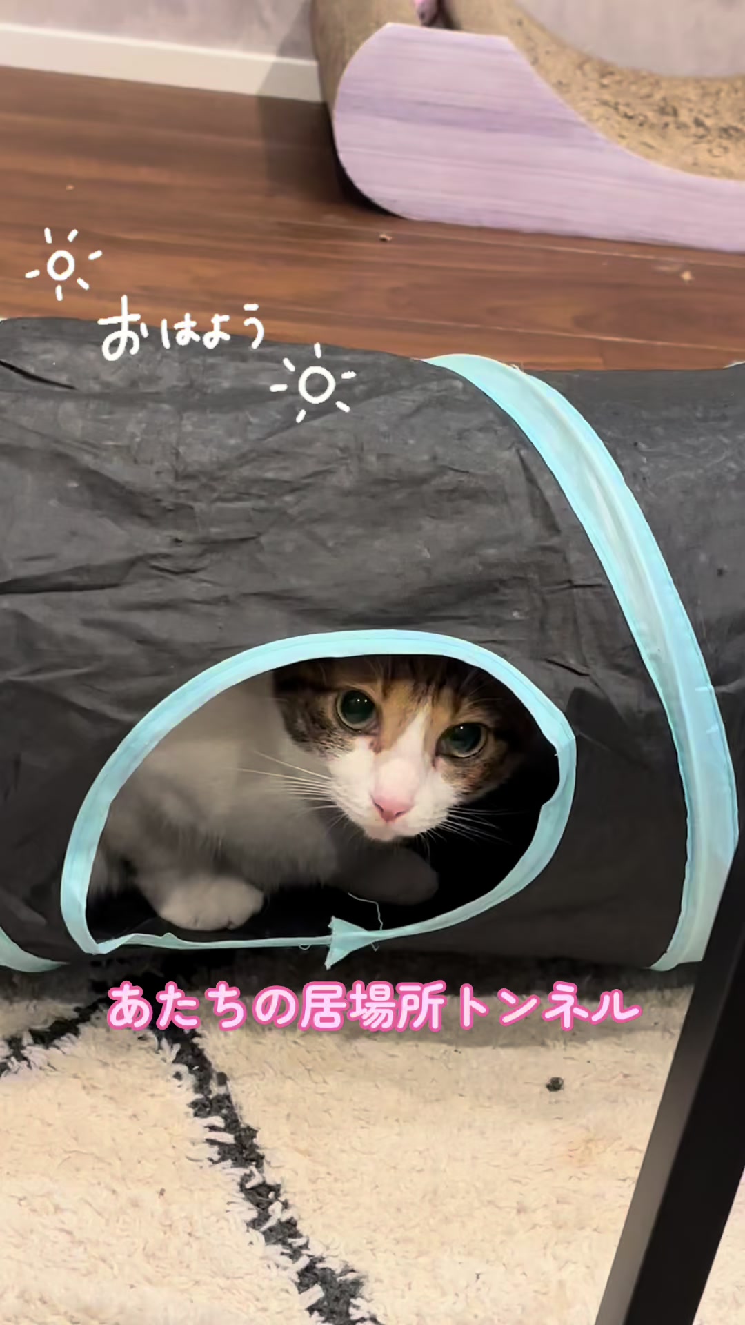 @ゆきりん