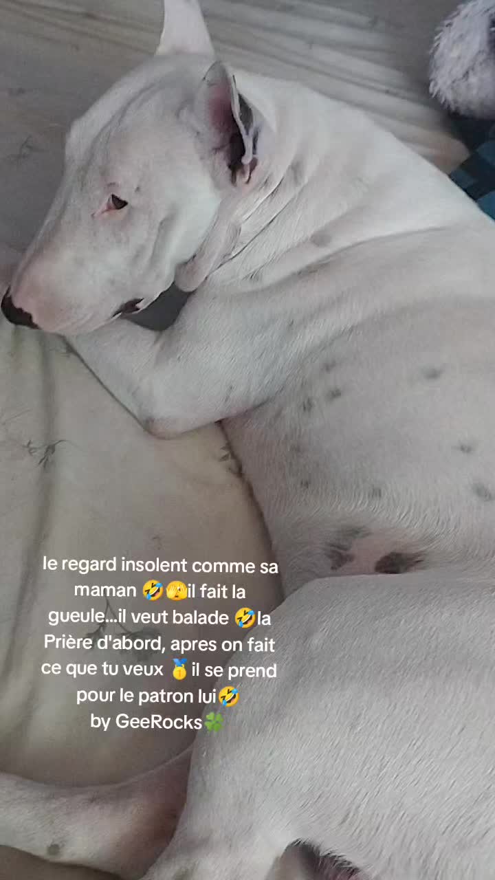 @Veheahiti