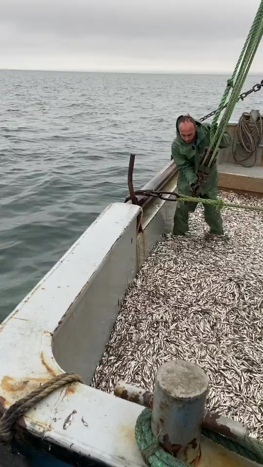 @🛳️h&agrave;m&igrave;d&oslash;⚓⚡R&aelig;ys&euml;🐬🏴&zwj;☠️