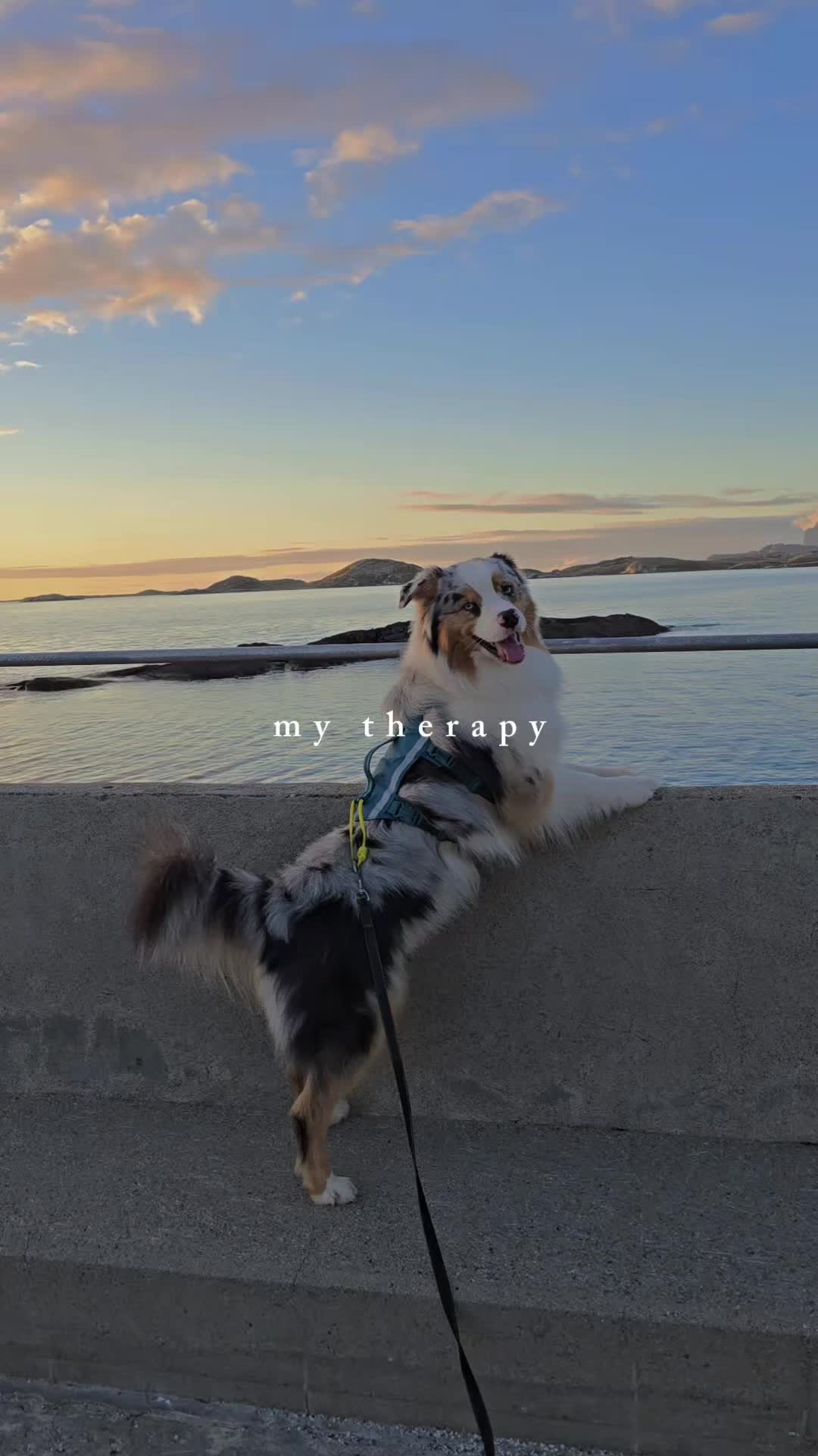 @mr.montytheaussie