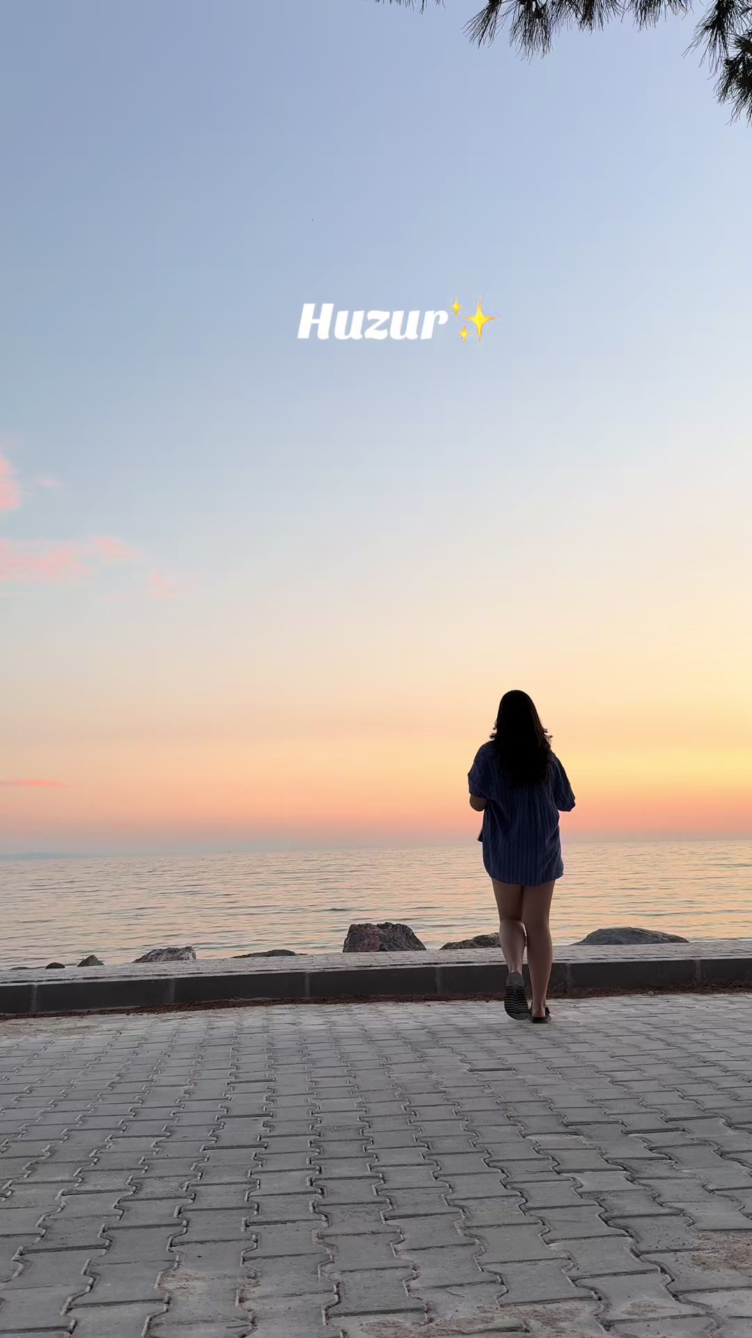 @Yağmur Alp