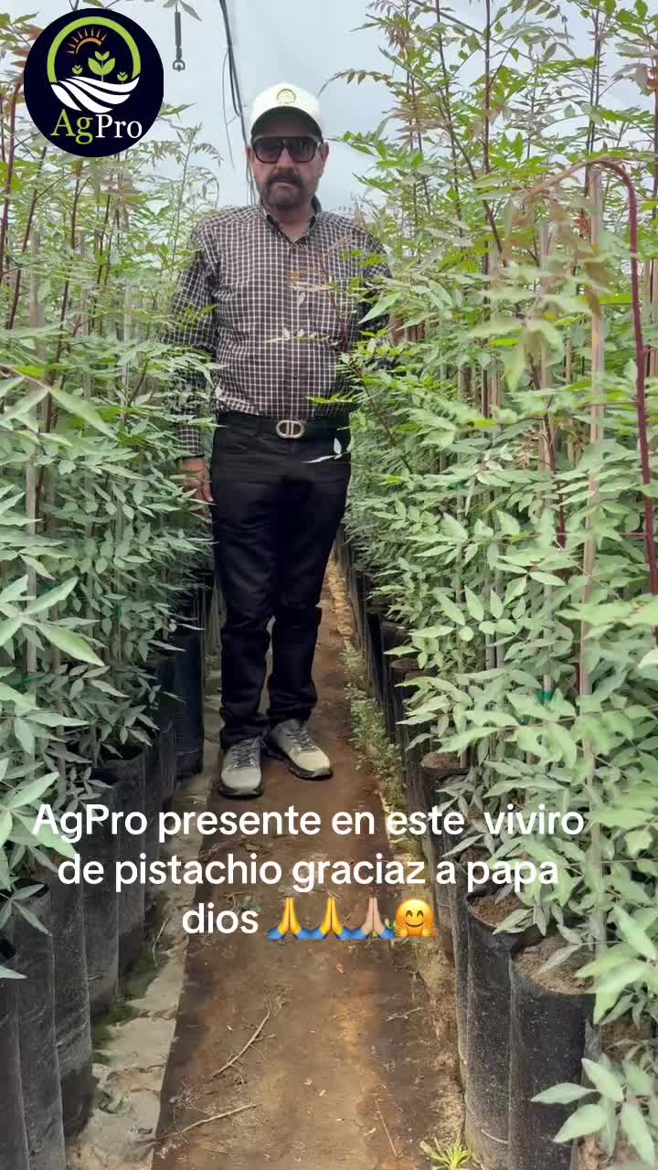 @Piedad Ayala