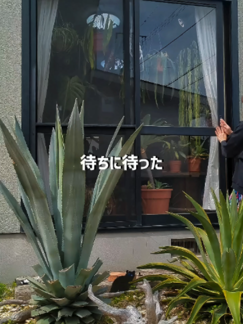 @KyotoTravelJP