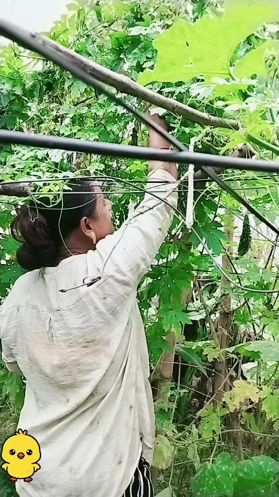 @Gita kharel