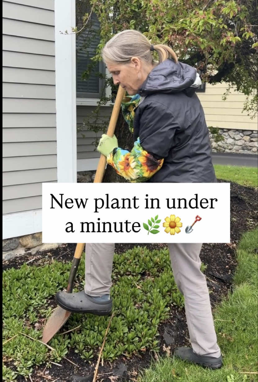 @You Can Do It Gardening