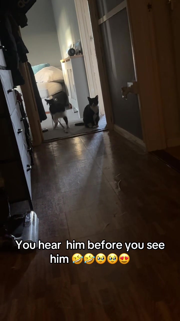 @Paigeyy