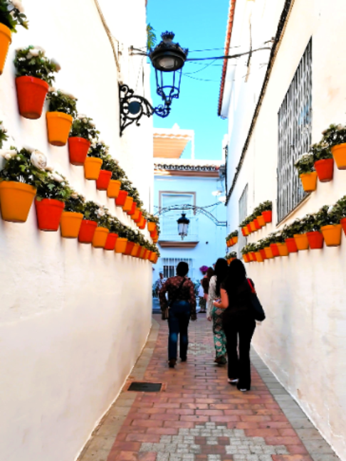 @Life in Spain