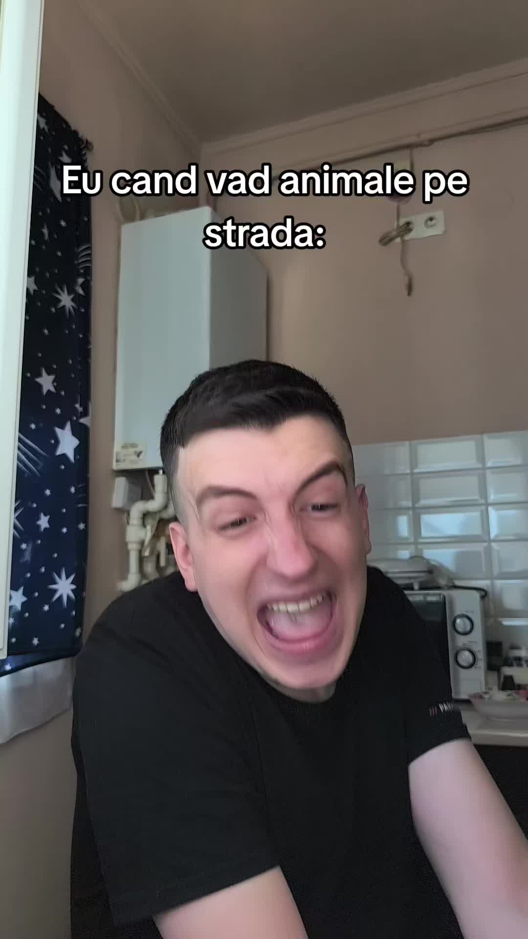 @Nelutu Bloanca