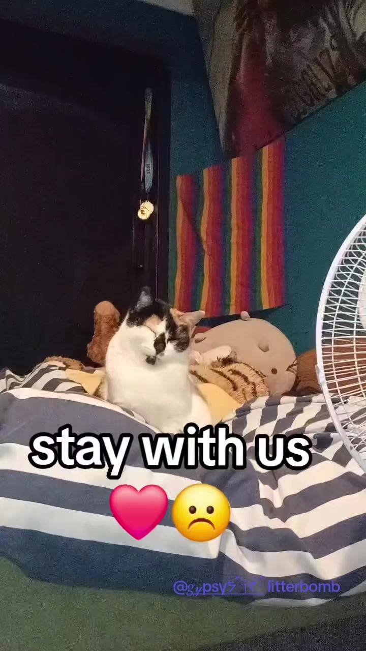 @danny