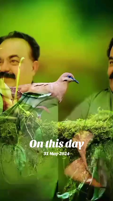 @Zawar Gull