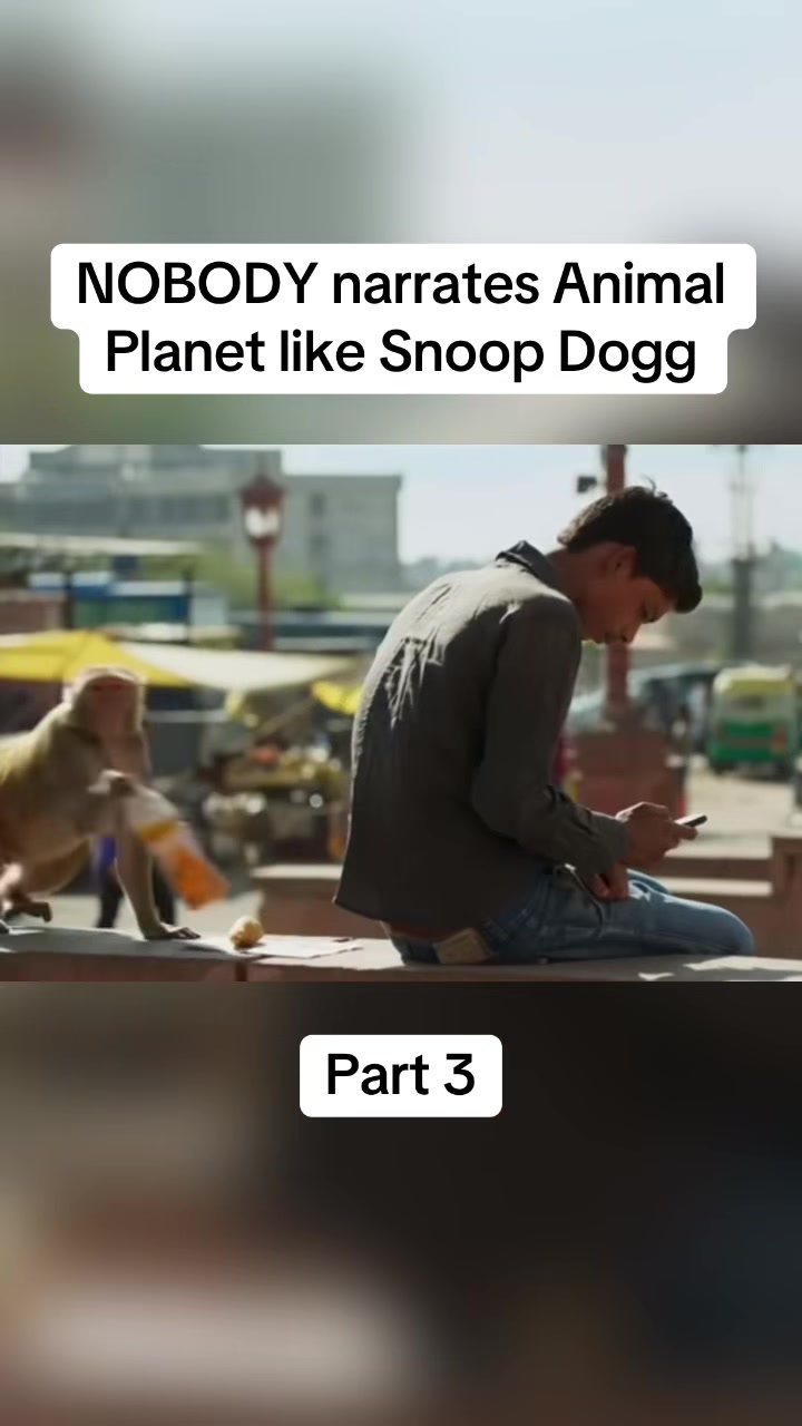 @nochillcelebs
