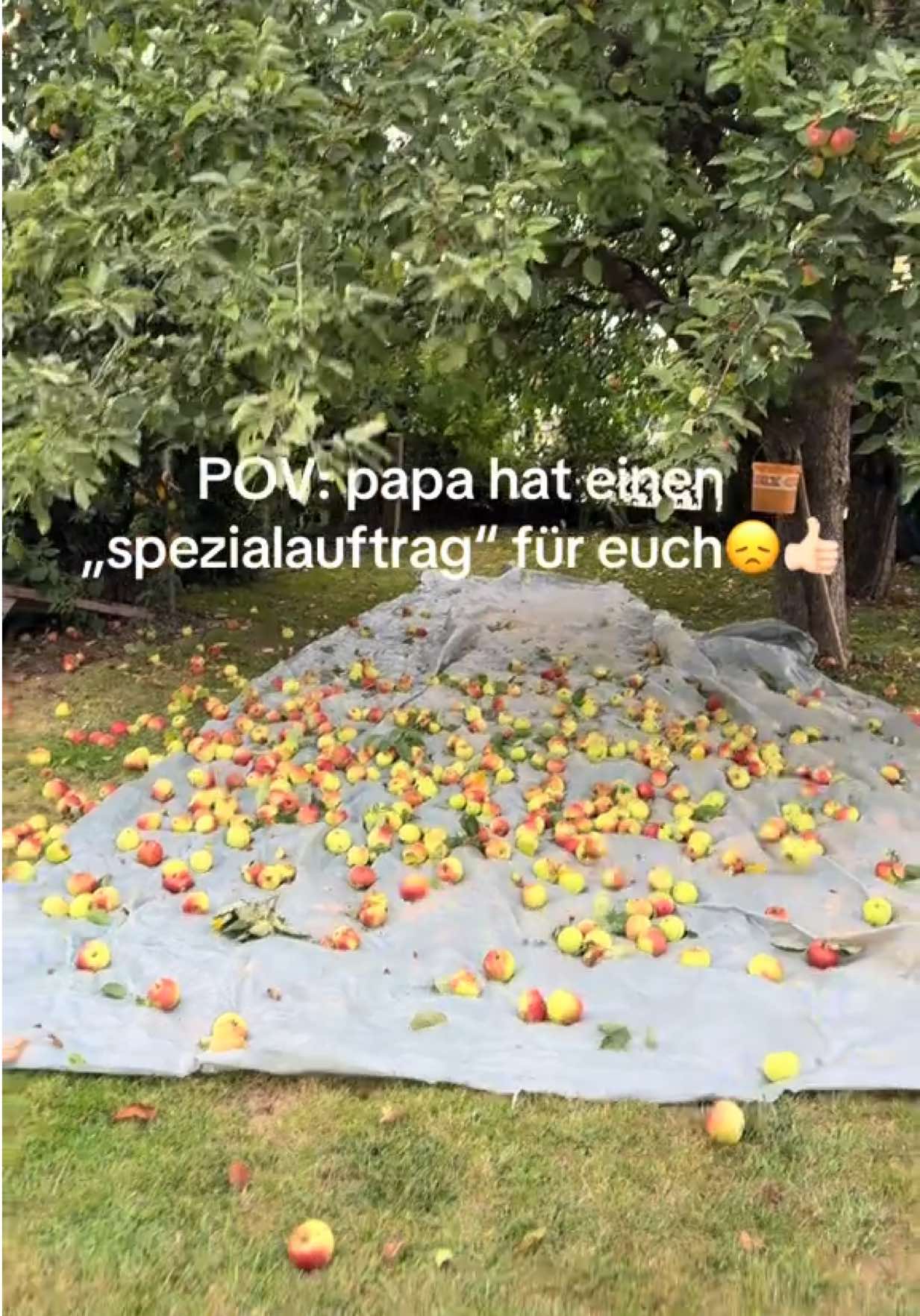 @emily