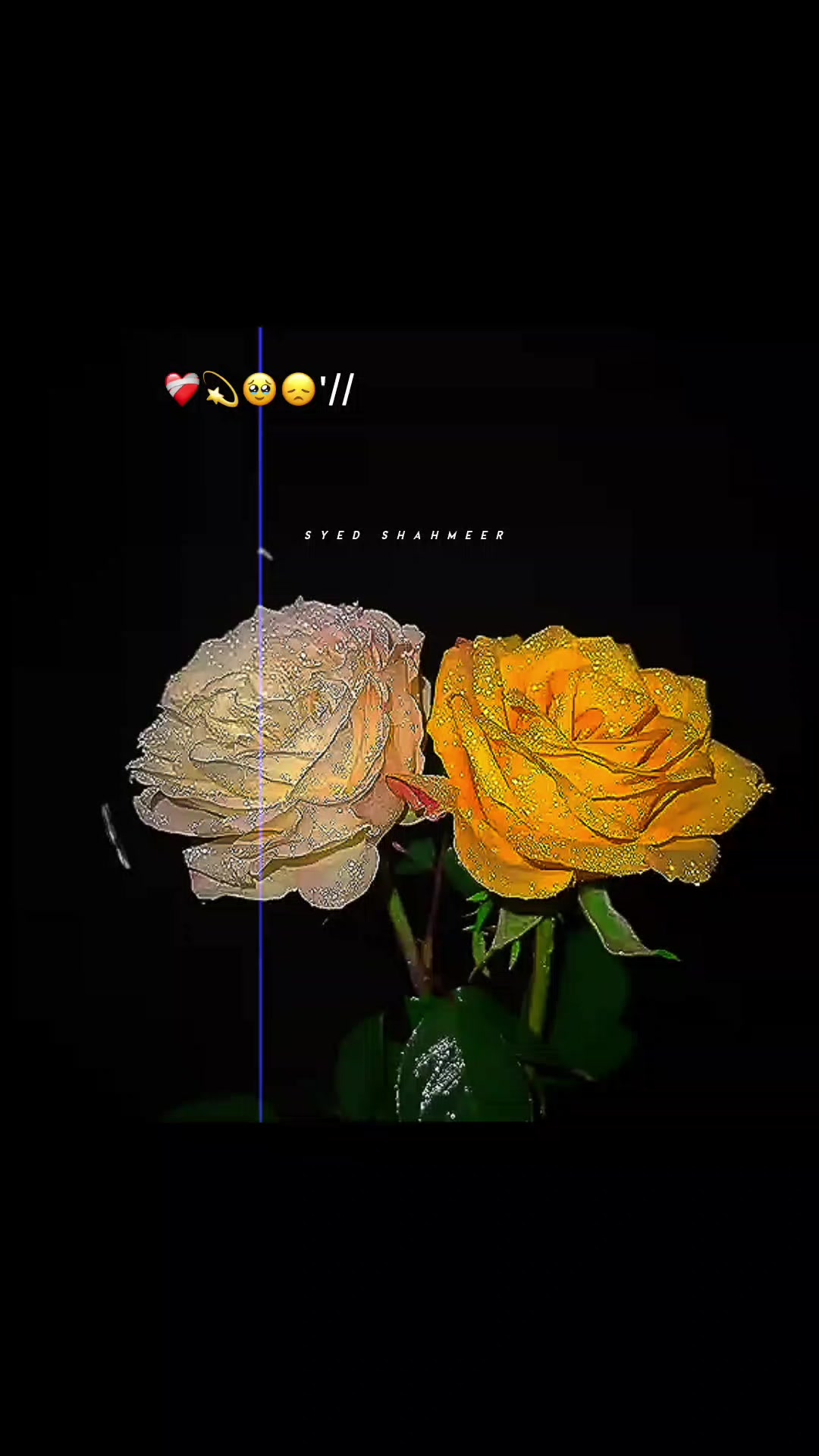 @It乙乛SHAH❤️