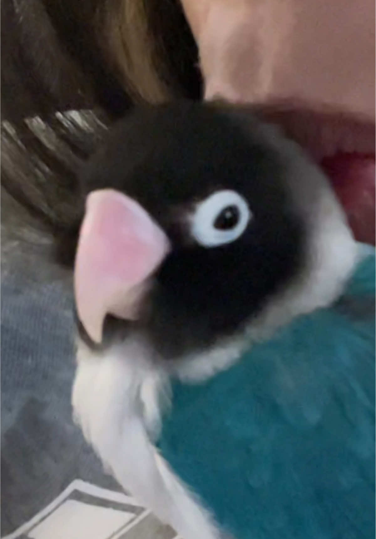 @๐ค