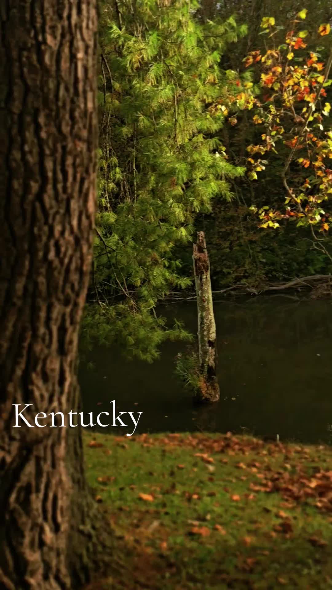 @Kentucky Simple Man