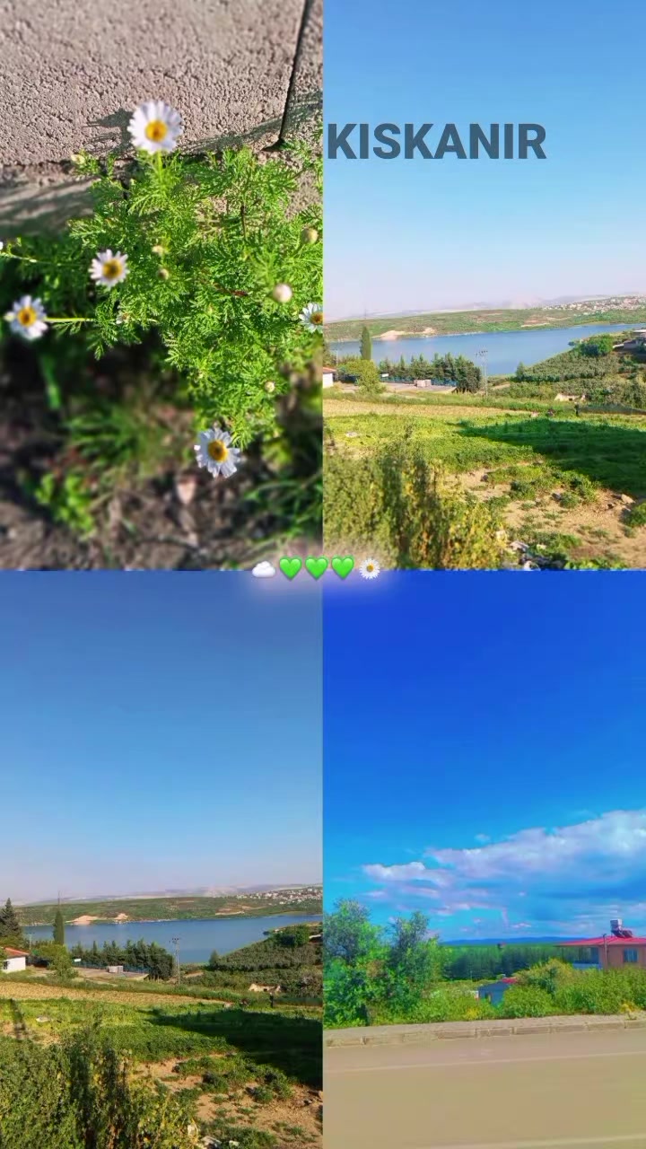 @مـدلࢦـهۃ قࢦـ𝙘ـبـو𐙚ꫂ💗🌚