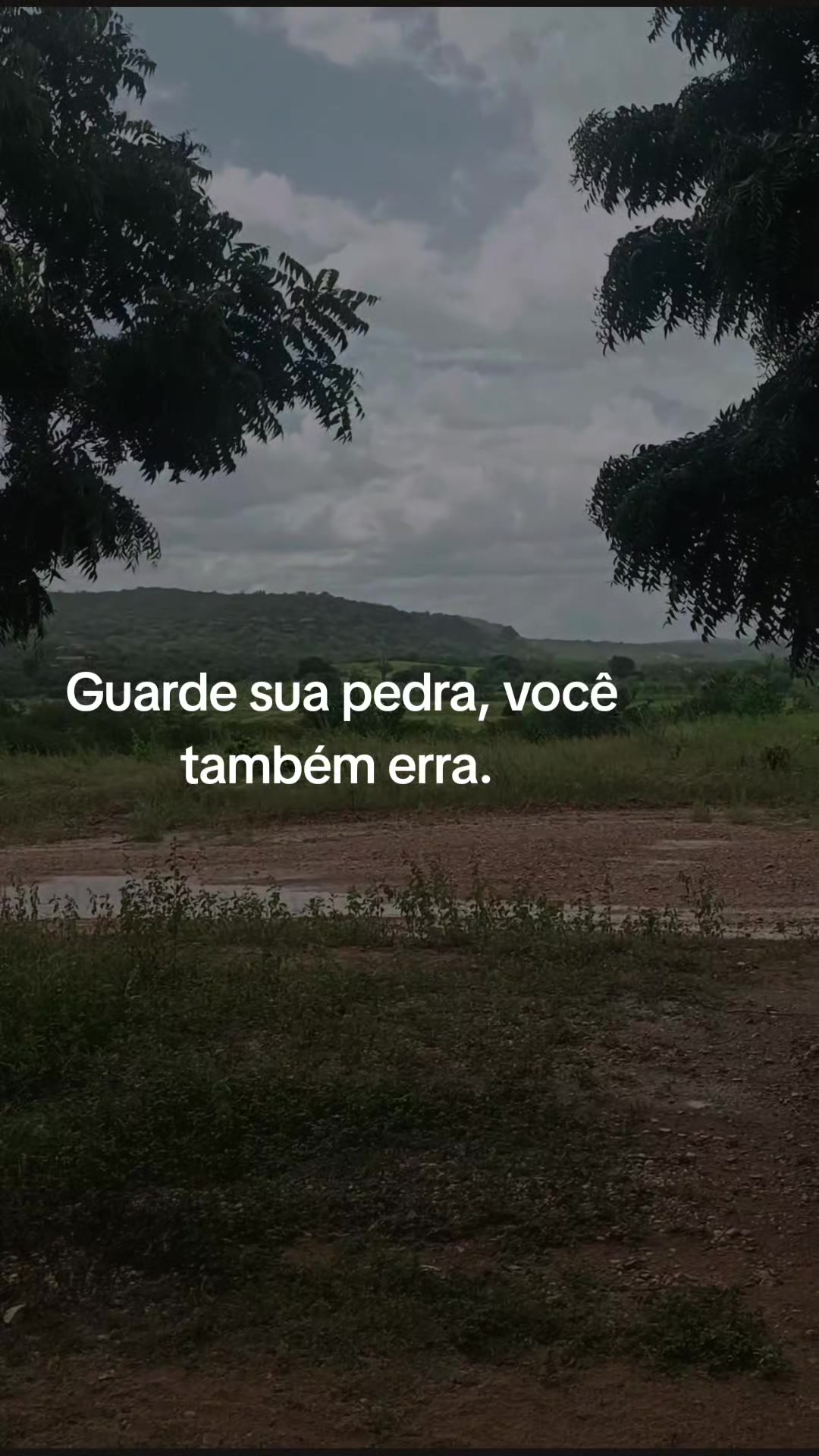 @Fran 🍒