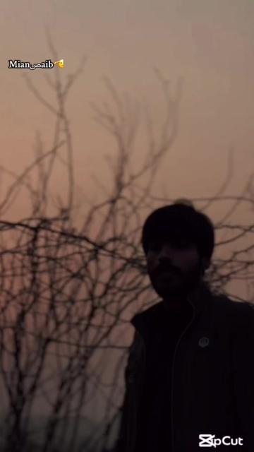 @mustafajamal905