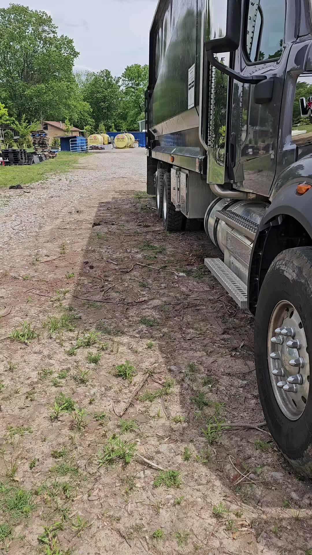 @TLC TREE CHAD