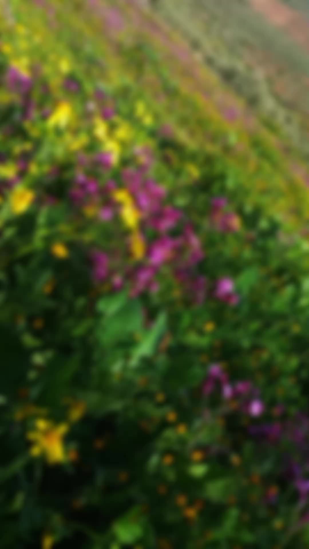 @🫒عٌـِـِِـِـفُـ,ـرينـِِـِـية🫒