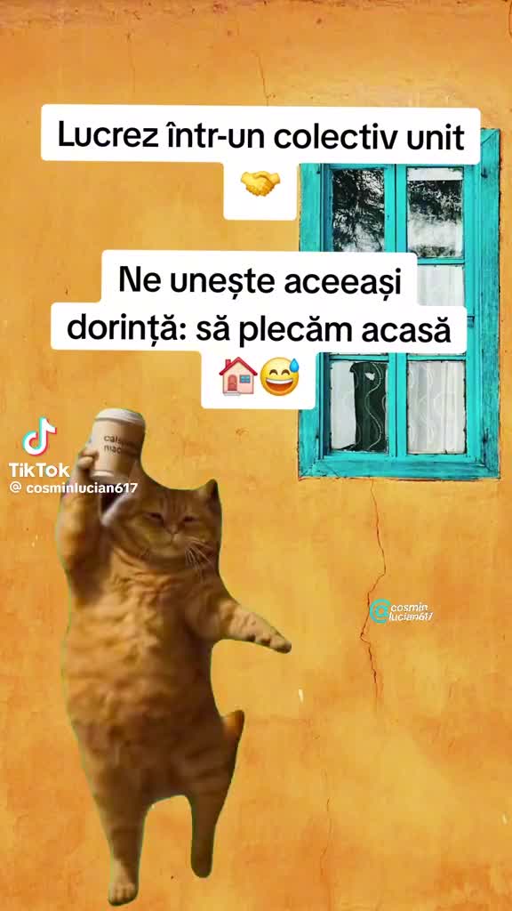 @Leti