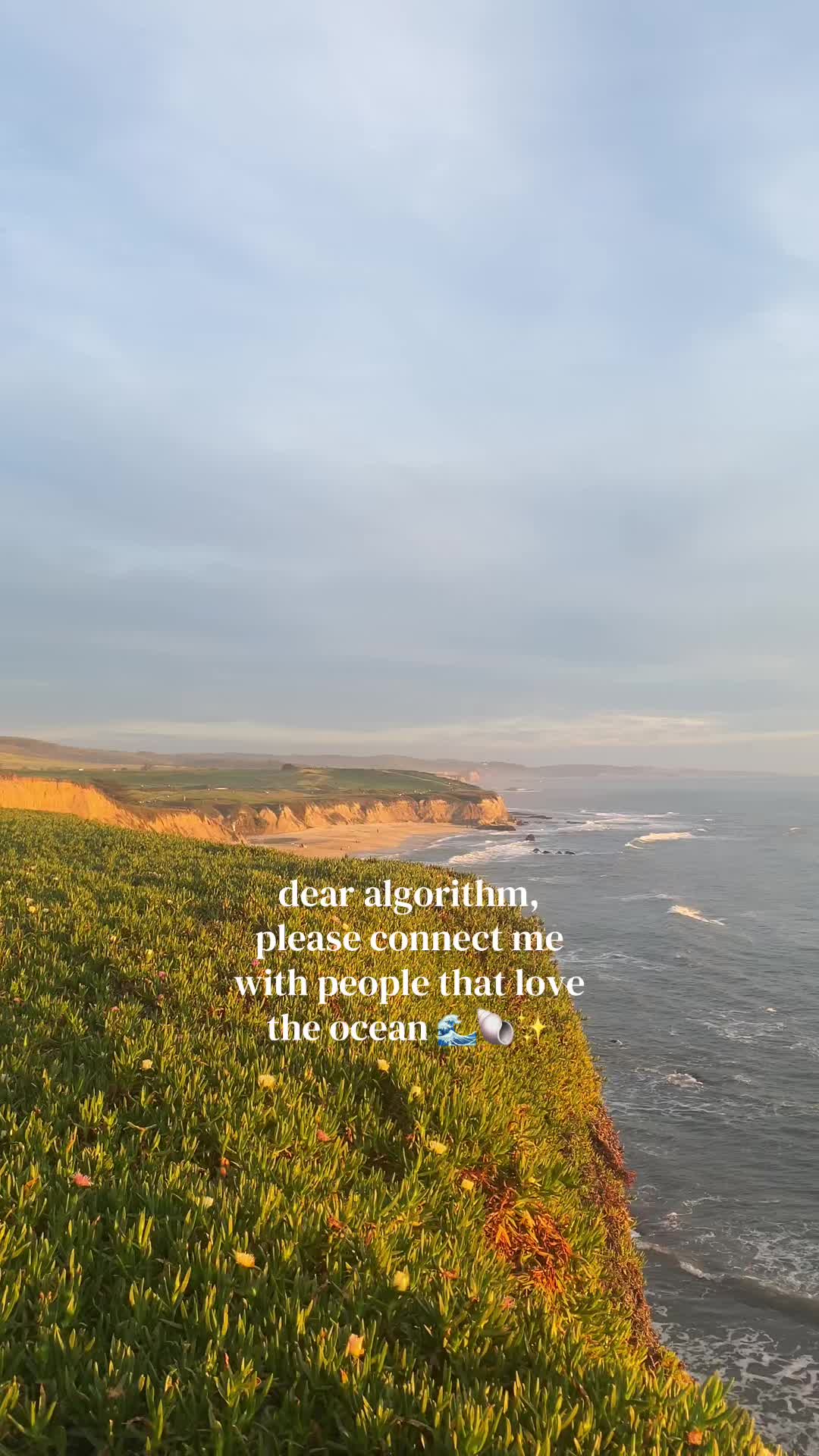 @beach babes