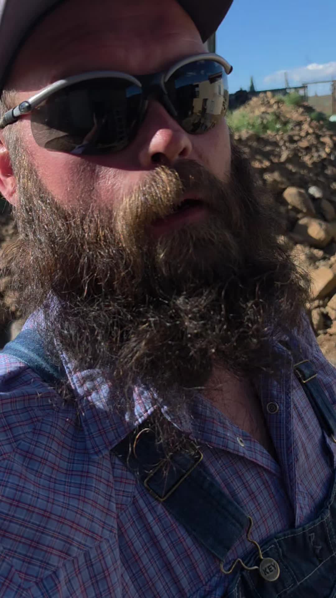 @thebeardedfamily1