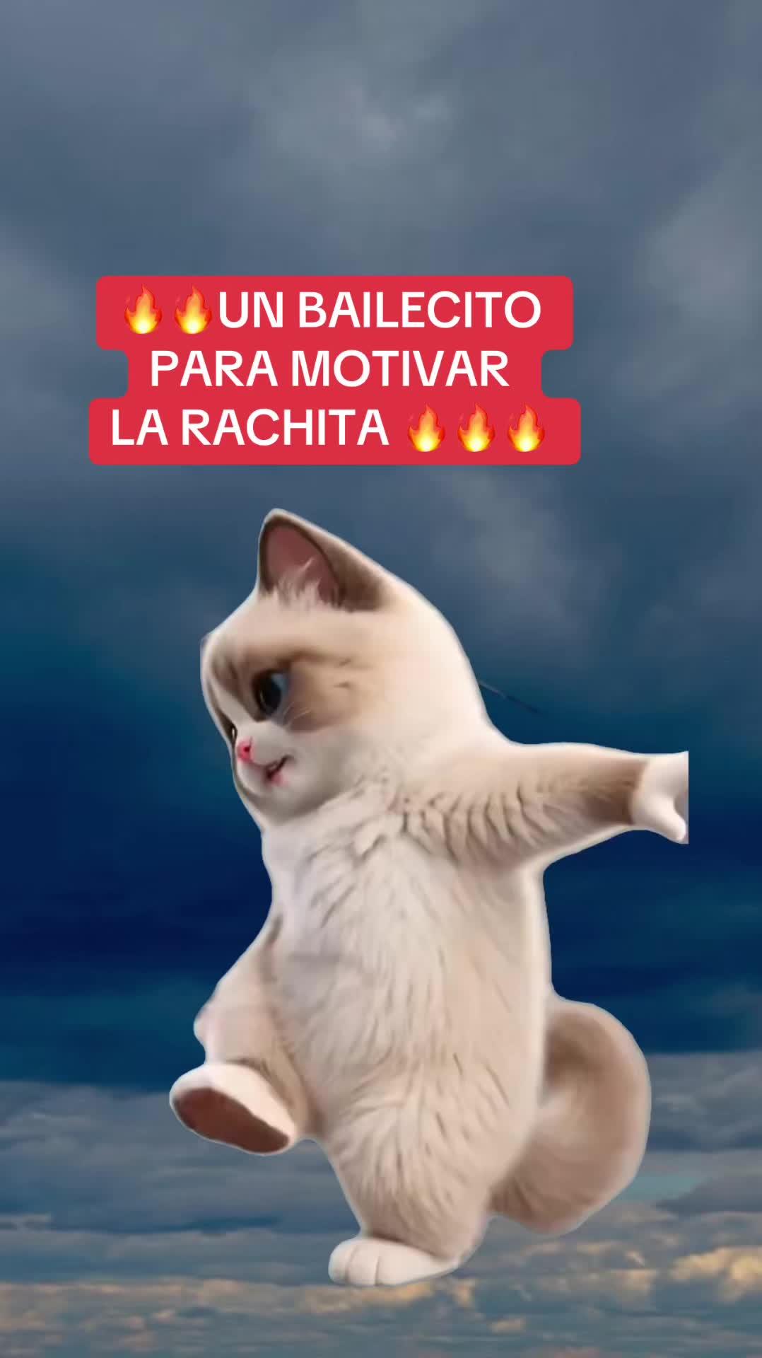 @BTC十 REYES 十