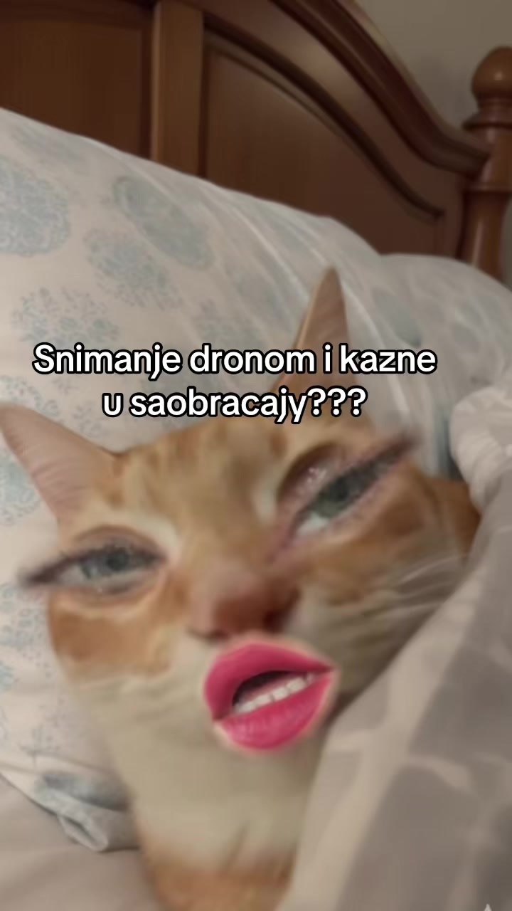 @vazda.gladna.backup