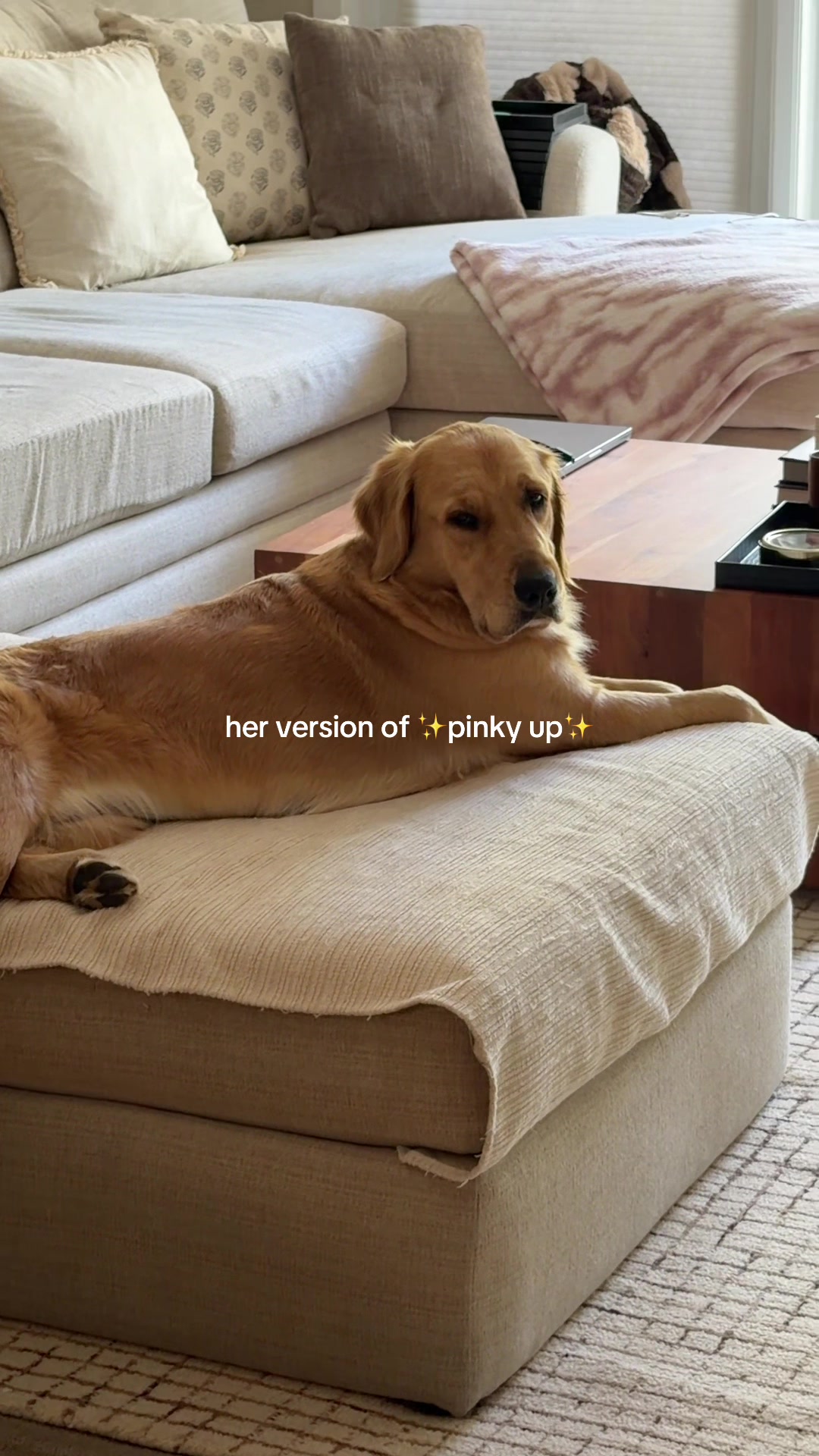 @Tater the Golden Girl