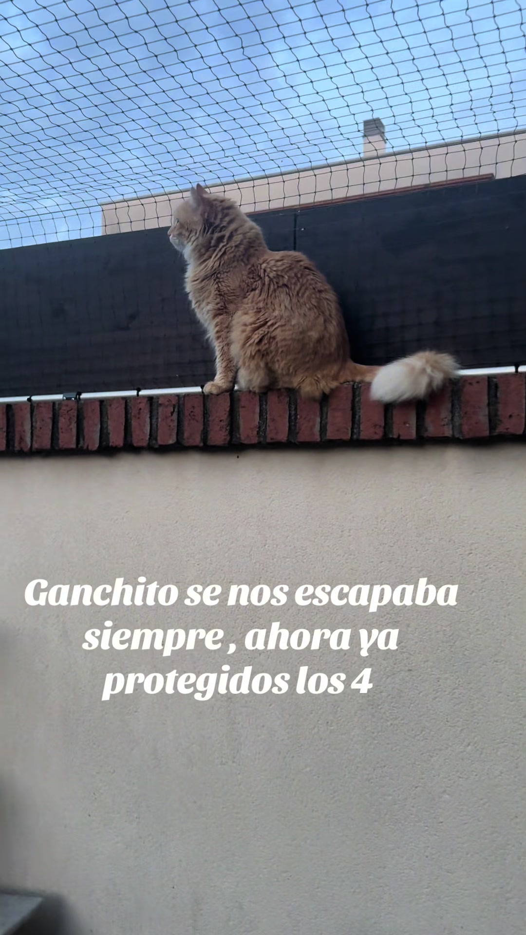 @Ganchito y su tropa