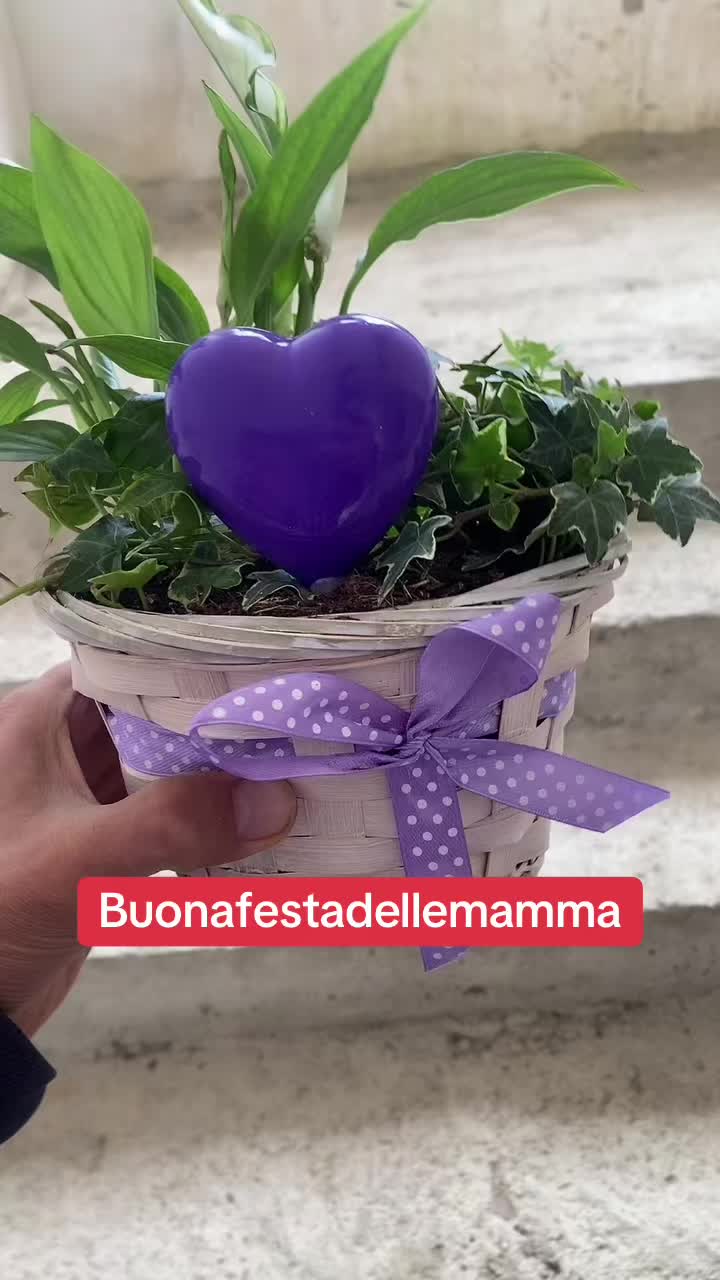 @giannifranco442