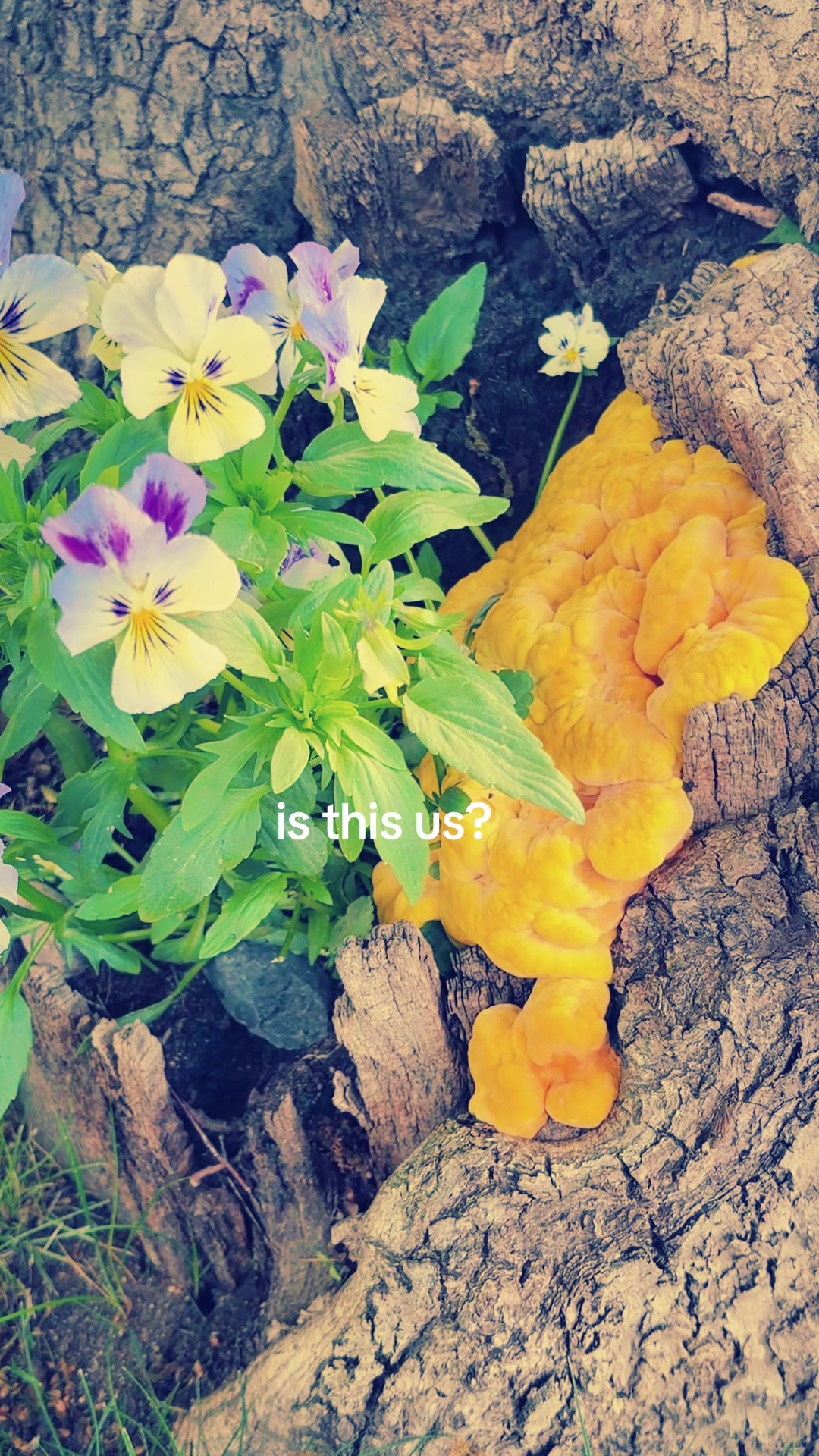@⠀